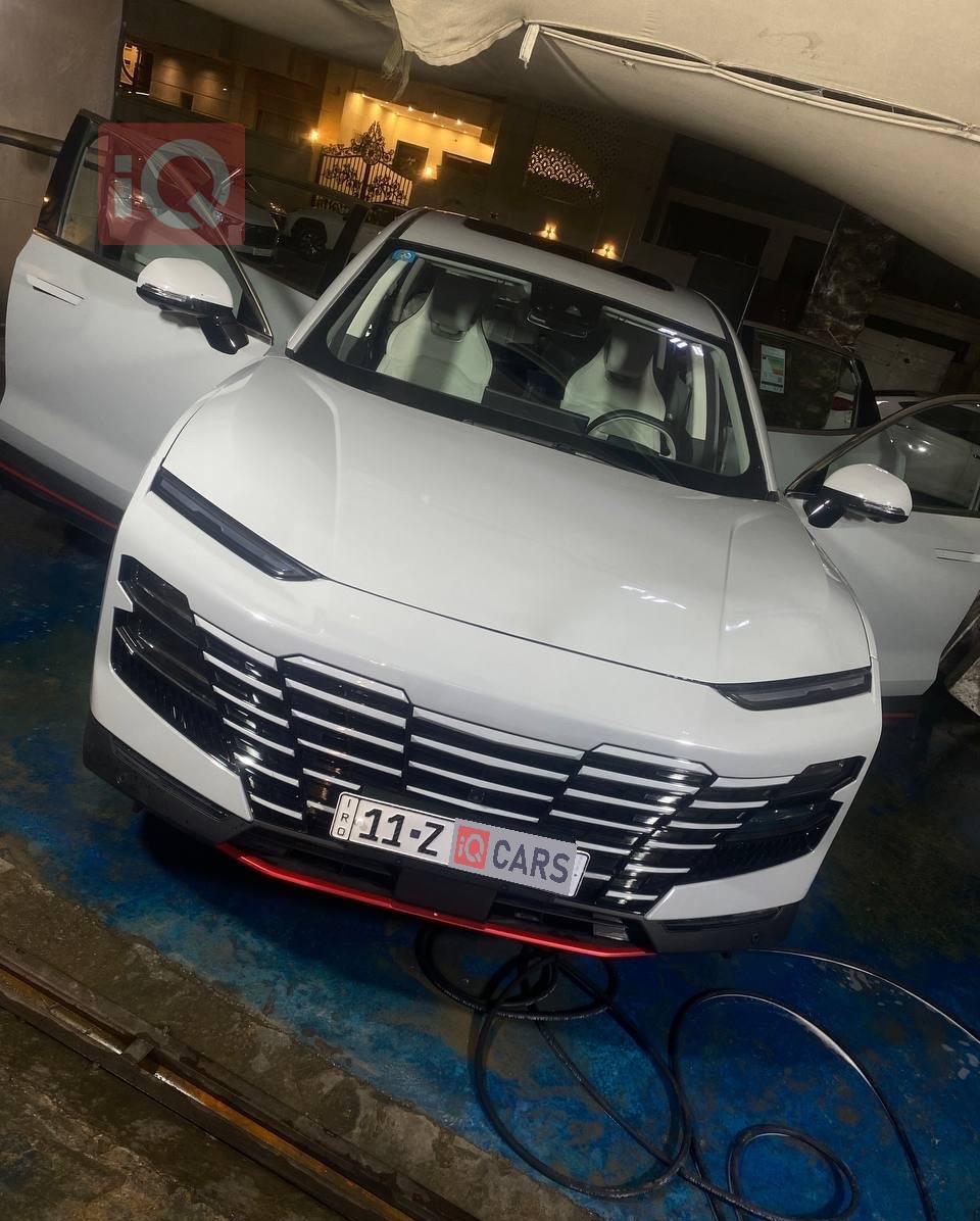 جیتۆر داشينگ